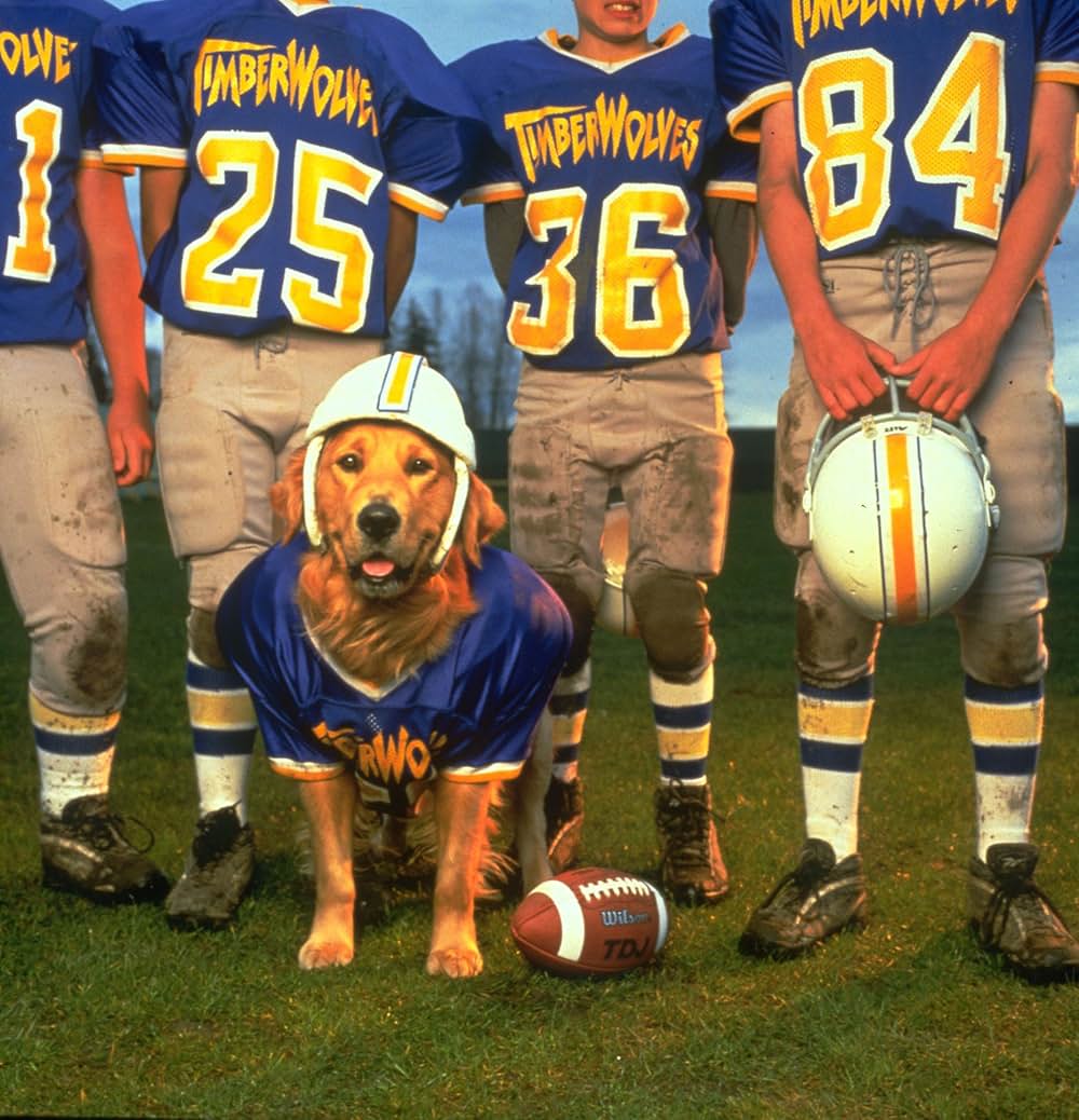 エア・バディ2の画像