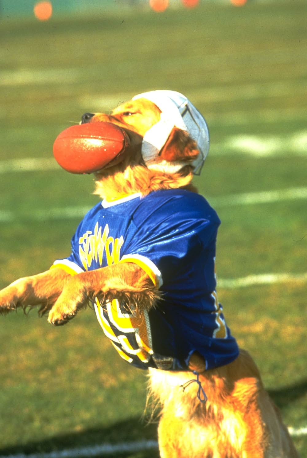 エア・バディ2の画像