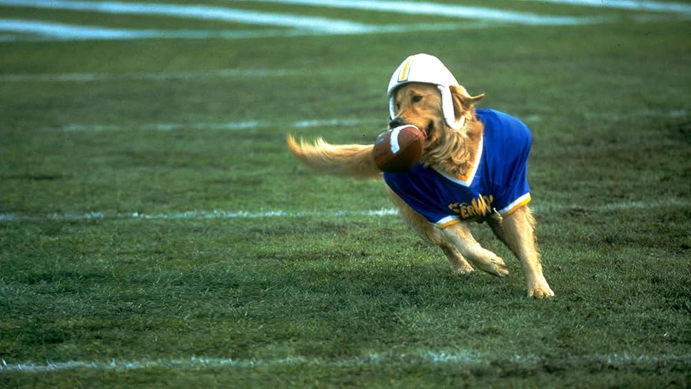 エア・バディ2の画像