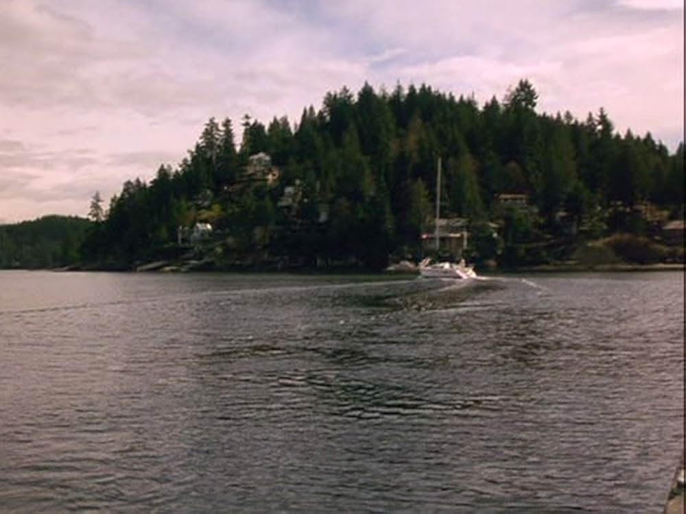 エア・バディ2の画像