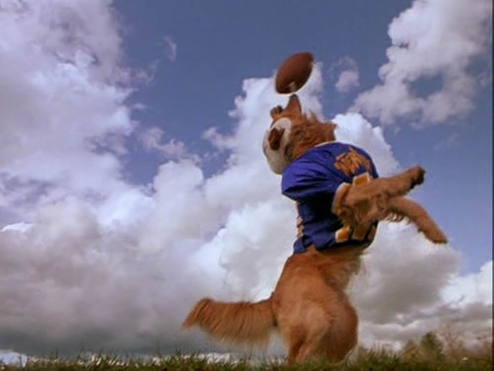 エア・バディ2の画像