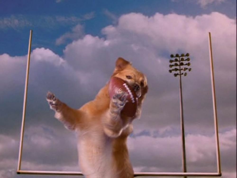 エア・バディ2の画像