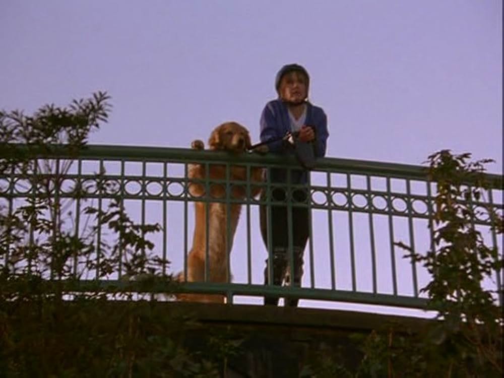 エア・バディ2の画像