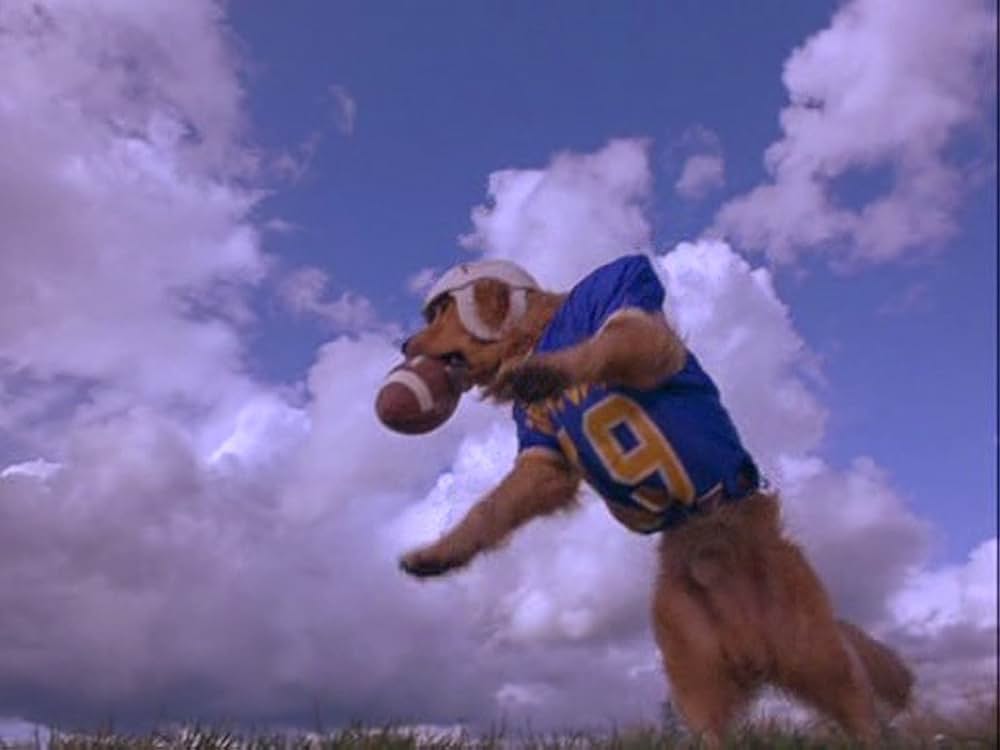 エア・バディ2の画像