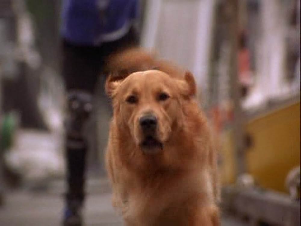 「エア・バディ2」の画像
