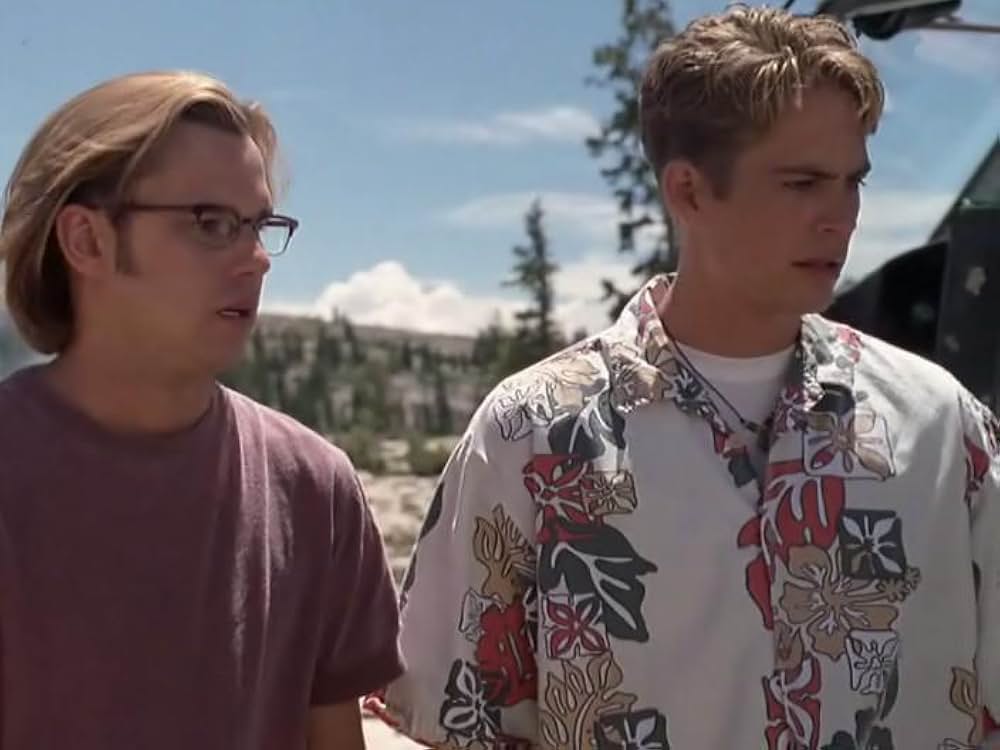 ディードル・ブラザーズ／悪ノリ双子の大作戦の画像