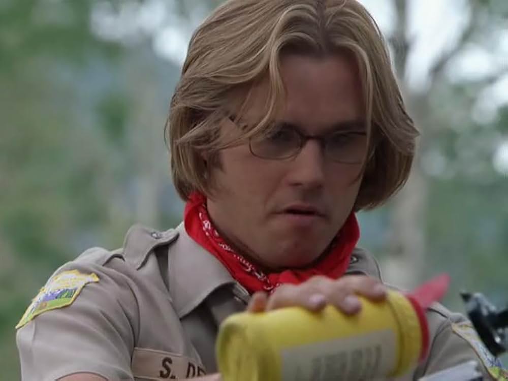 ディードル・ブラザーズ／悪ノリ双子の大作戦の画像