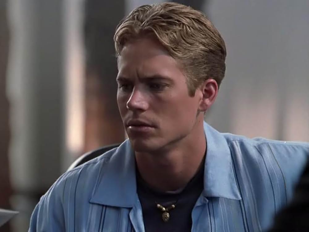 ディードル・ブラザーズ／悪ノリ双子の大作戦の画像