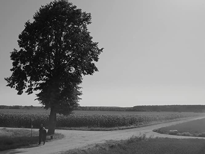 COLD WAR あの歌、２つの心の画像