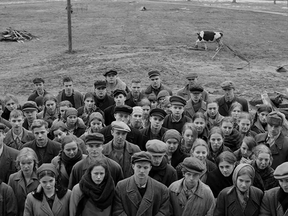 COLD WAR あの歌、２つの心の画像