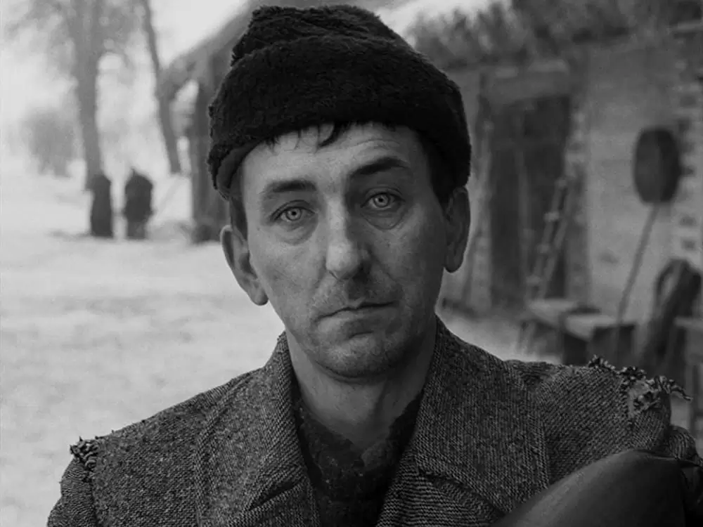 COLD WAR あの歌、２つの心の画像