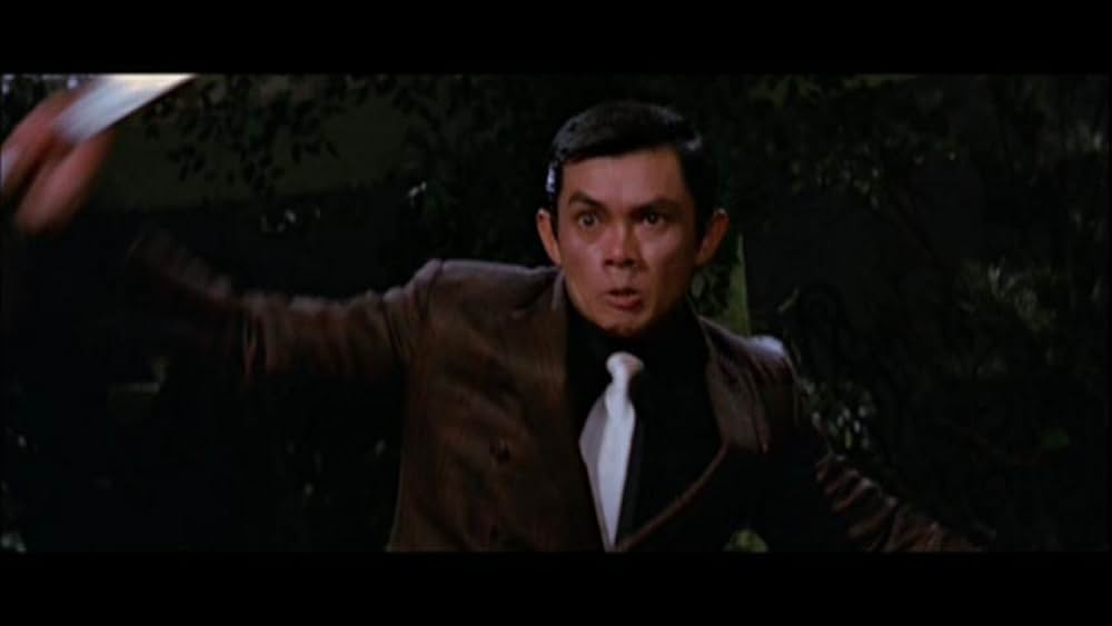 ヴェンジェンス／報仇の画像