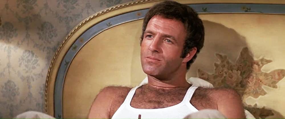 ファニー・レディの画像