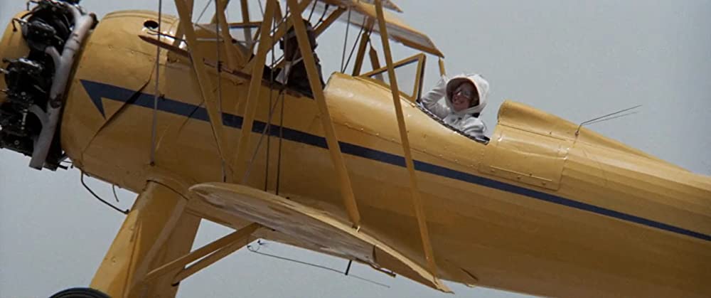 ファニー・レディの画像