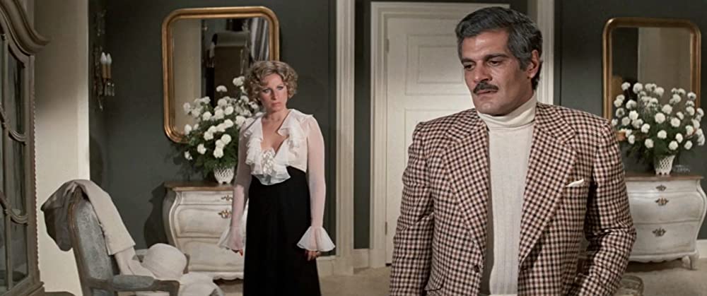 ファニー・レディの画像