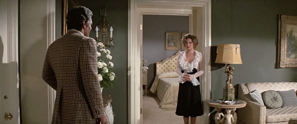 ファニー・レディの画像