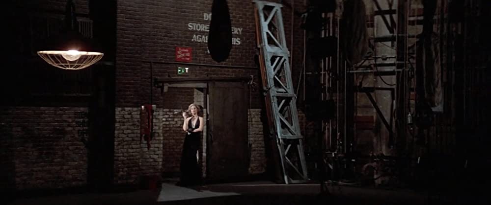 ファニー・レディの画像