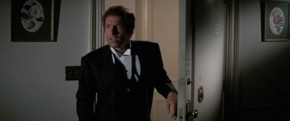 ファニー・レディの画像