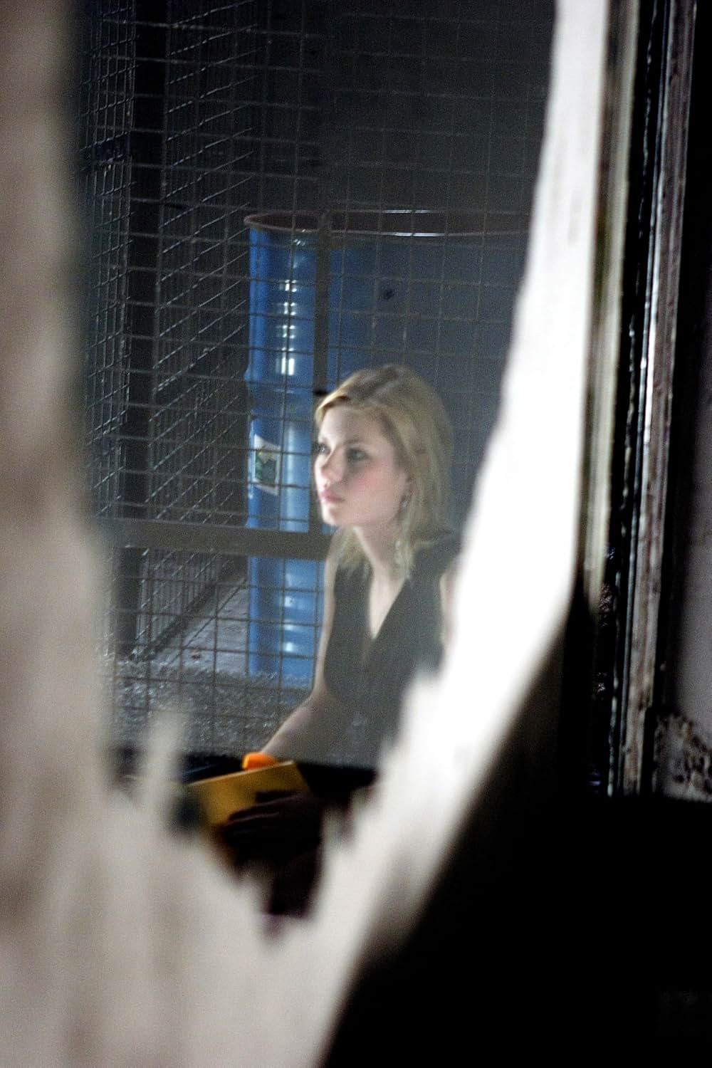 キャプティビティの画像