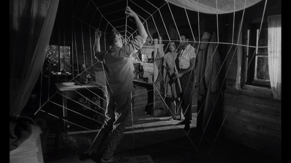 蜘蛛男の恐怖の画像