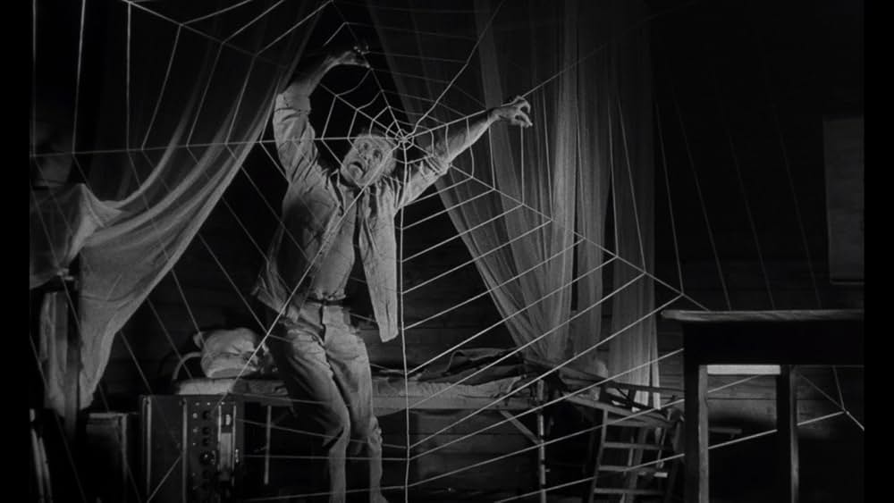 蜘蛛男の恐怖の画像