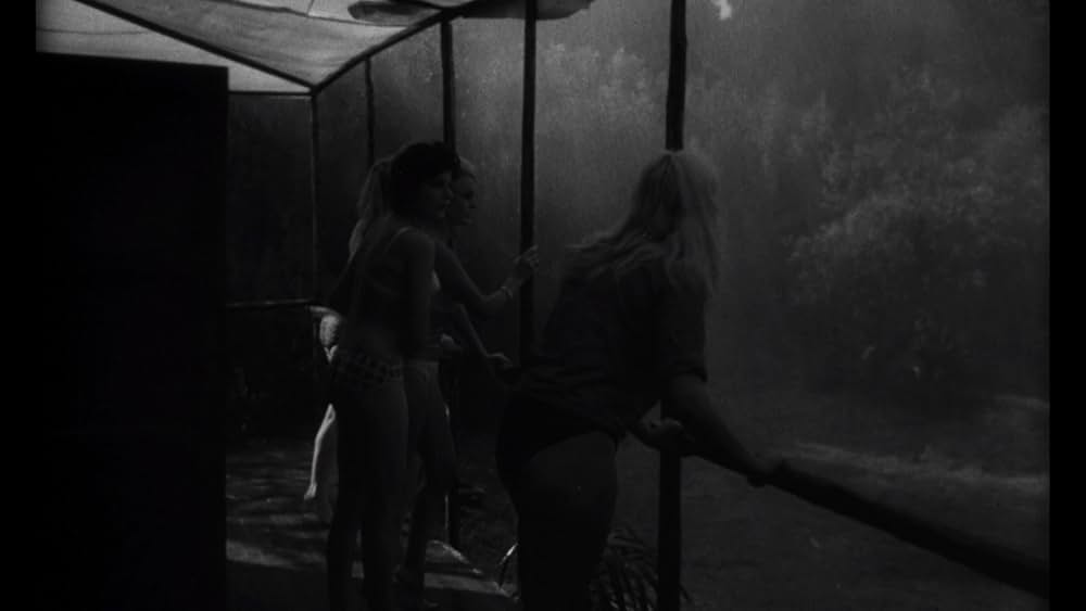 蜘蛛男の恐怖の画像