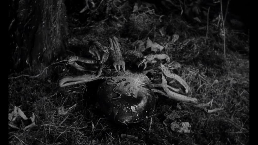 蜘蛛男の恐怖の画像