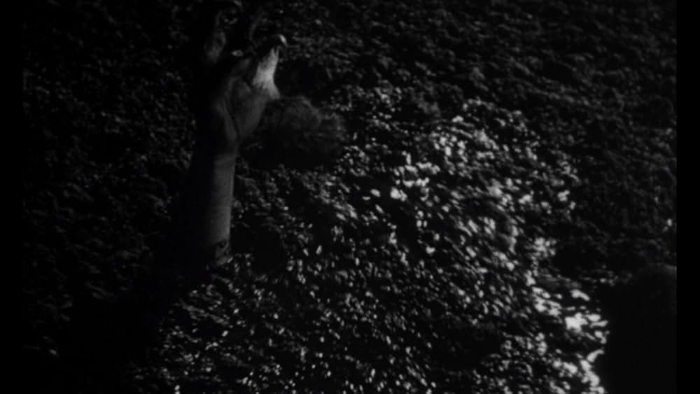 蜘蛛男の恐怖の画像