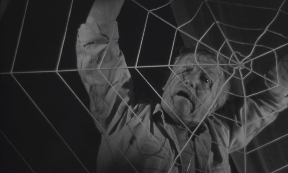 蜘蛛男の恐怖の画像