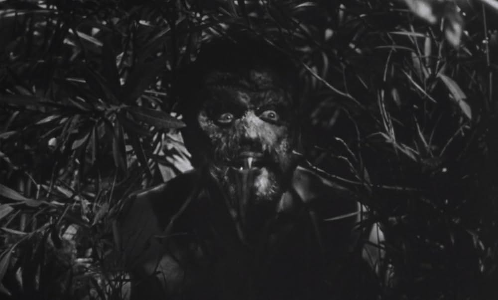 蜘蛛男の恐怖の画像