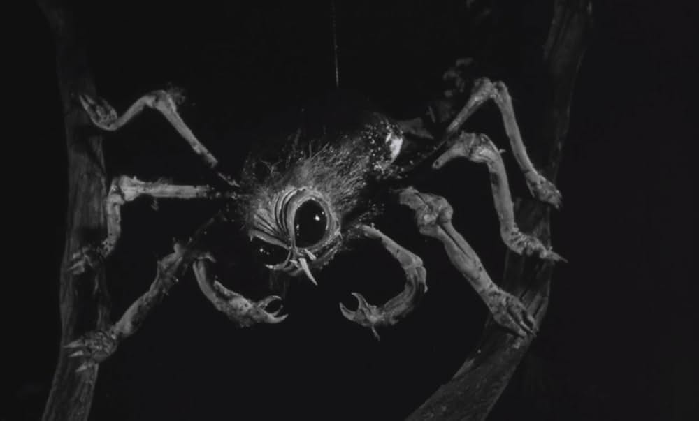 蜘蛛男の恐怖の画像