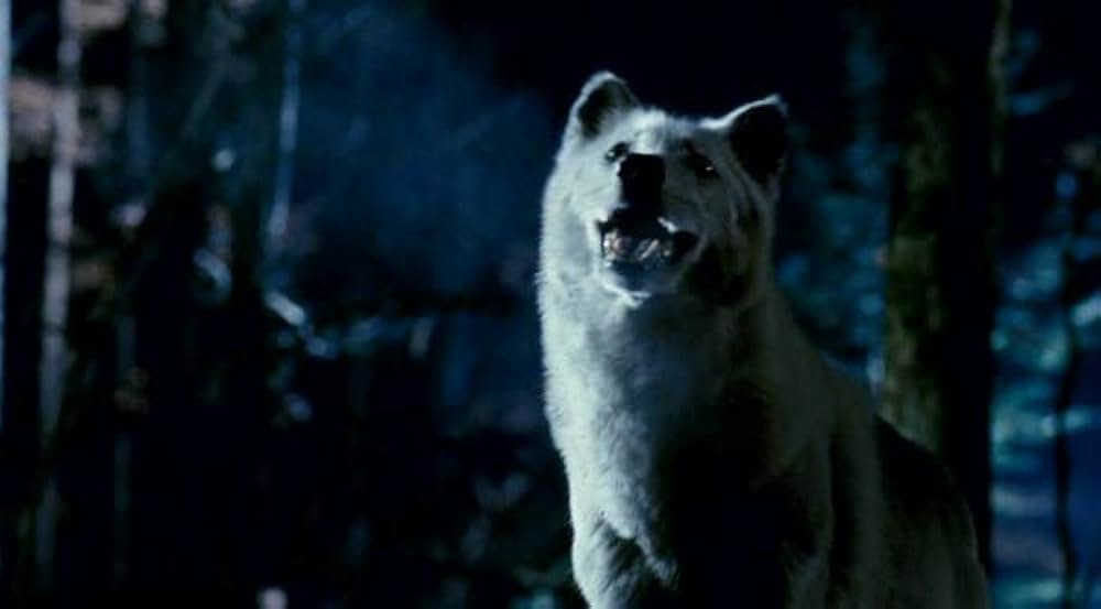 グリズリー・パークの画像