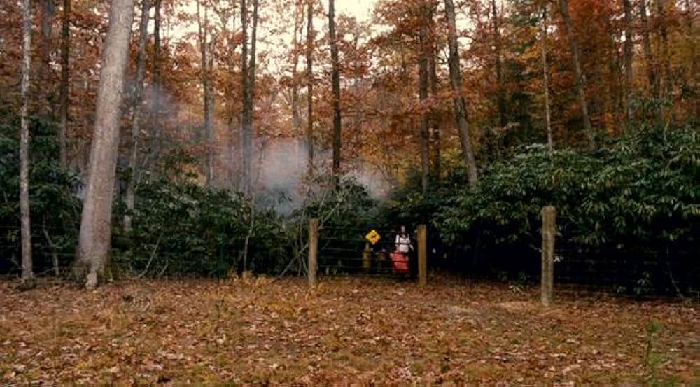 グリズリー・パークの画像