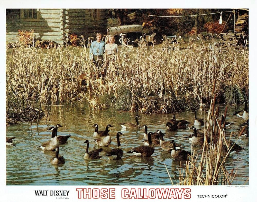 われらキャロウェイの画像