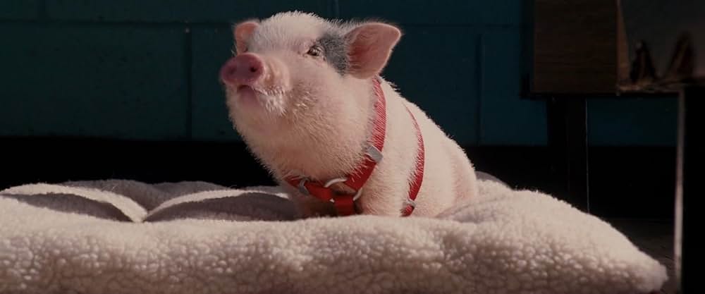 ロード・トリップ パパは誰にも止められない！の画像