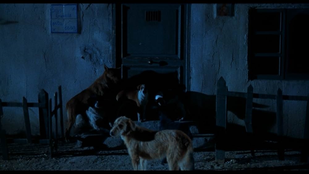 カンニバル・マン 精肉男の殺人記録の画像