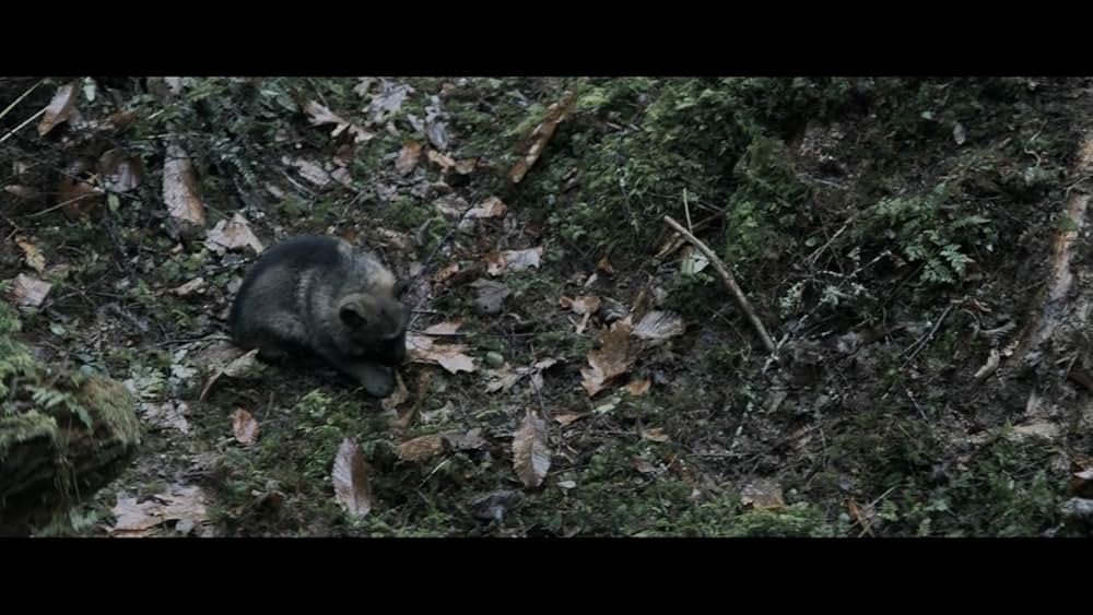 HANDIA アルツォの巨人の画像