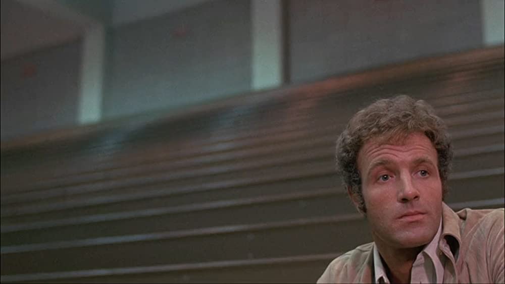 「熱い賭け」ジェームズ・カーンの画像