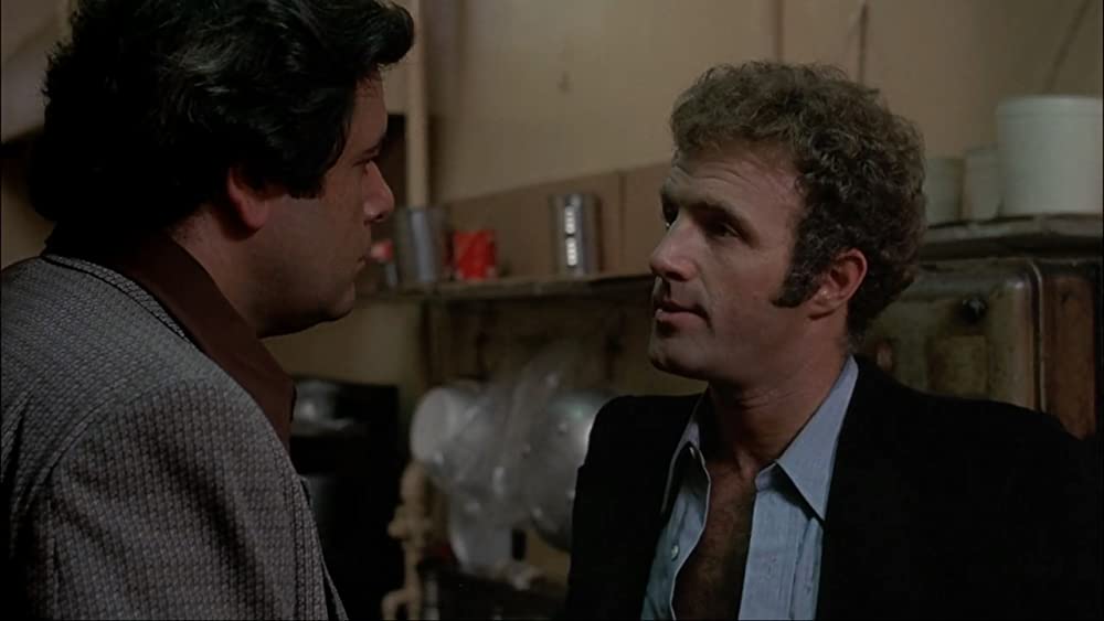 「熱い賭け」ポール・ソルビノ & ジェームズ・カーンの画像