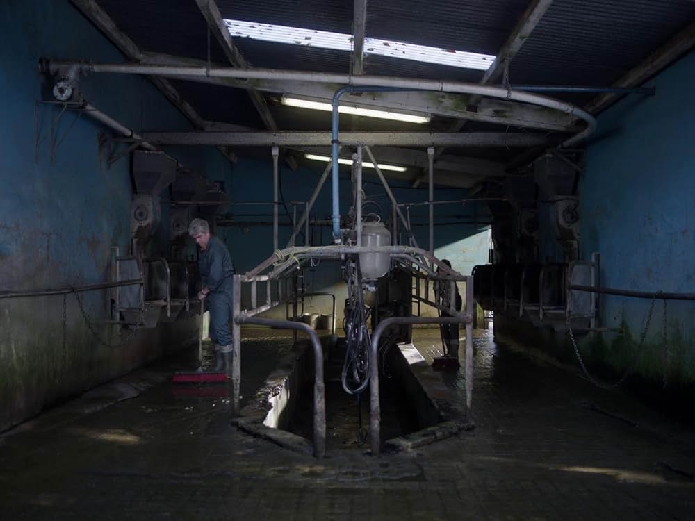 コット、はじまりの夏の画像