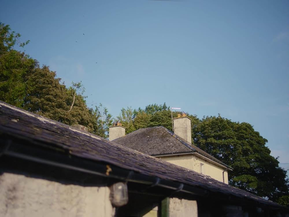 コット、はじまりの夏の画像