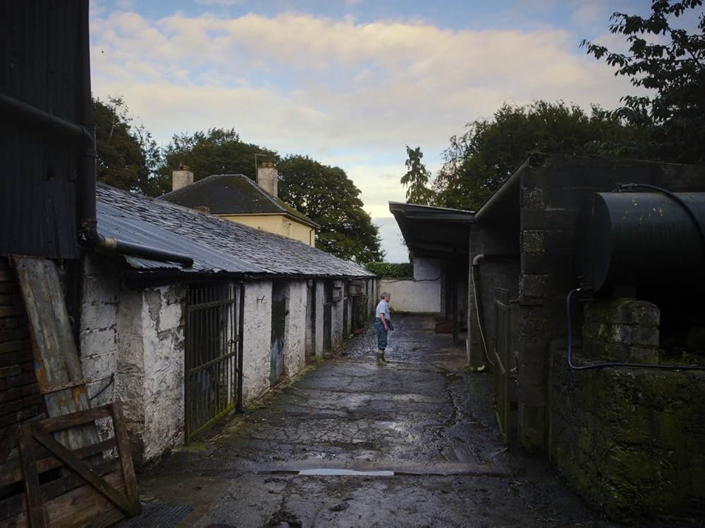 コット、はじまりの夏の画像