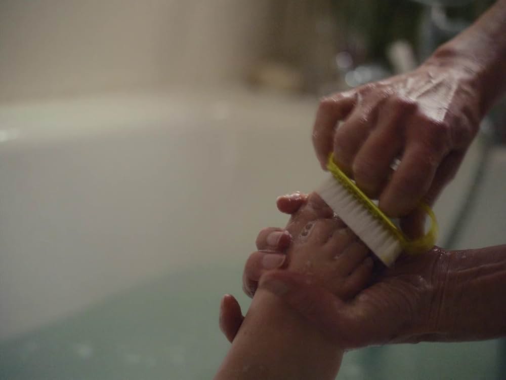 コット、はじまりの夏の画像