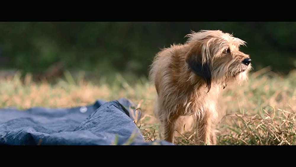 「ベンジー」の画像