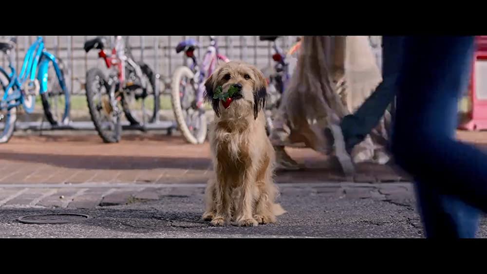 「ベンジー」の画像