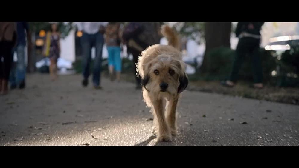 「ベンジー」の画像