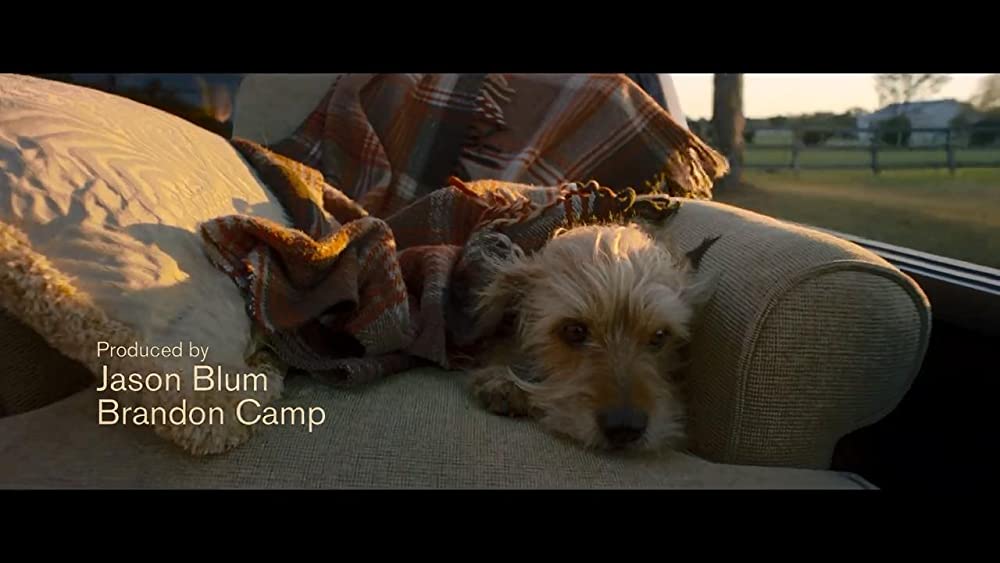 「ベンジー」の画像