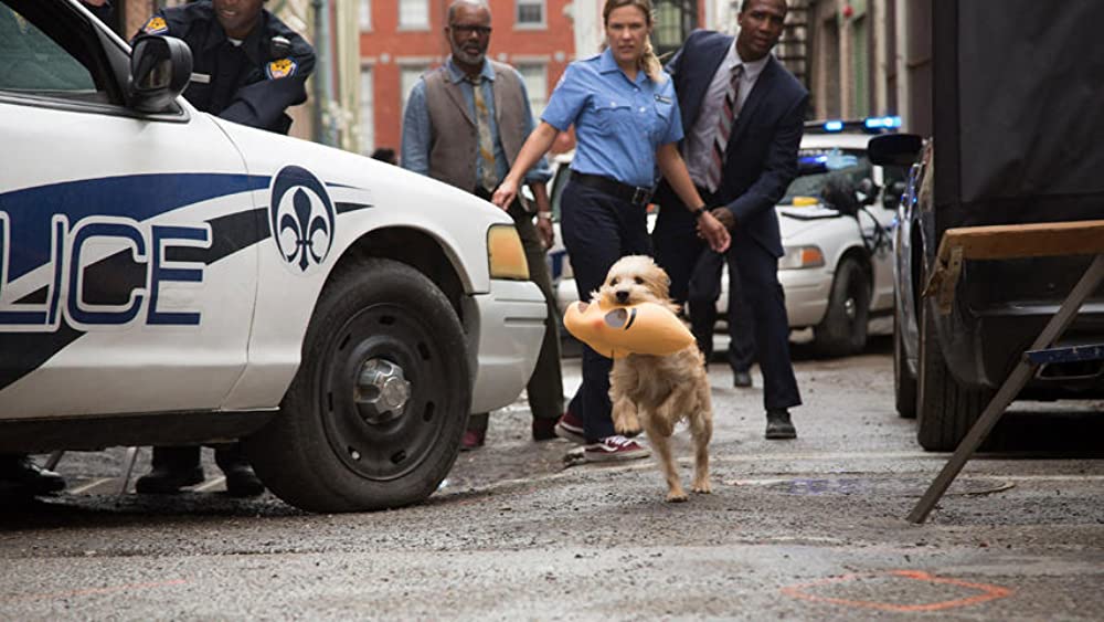 「ベンジー」の画像