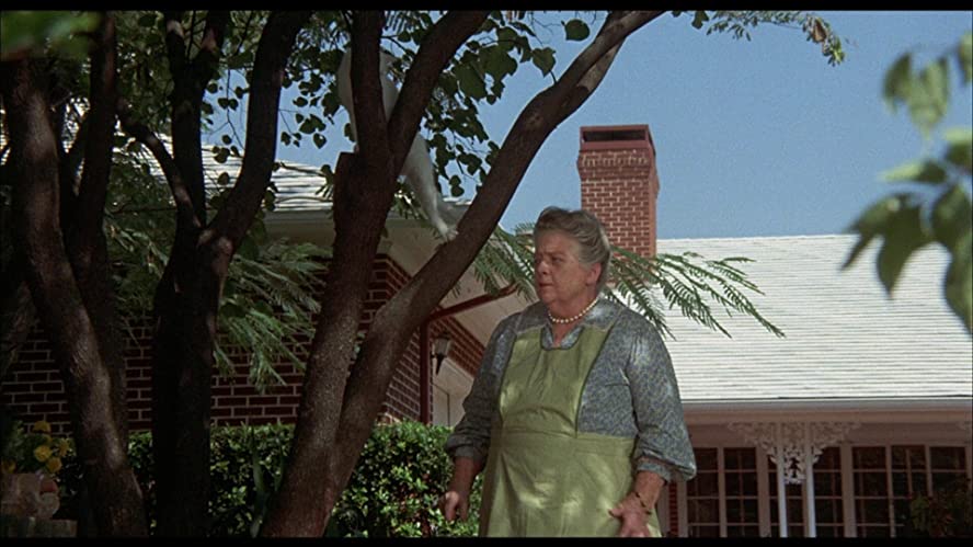 ベンジーの画像