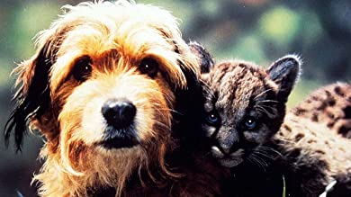 がんばれ！がんばれ！ベンジーの画像